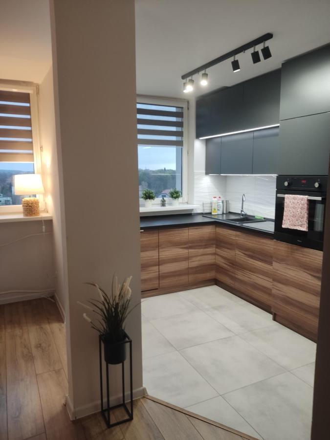 Apartament Z Widokiem Na Miasto Gliwice Exteriör bild