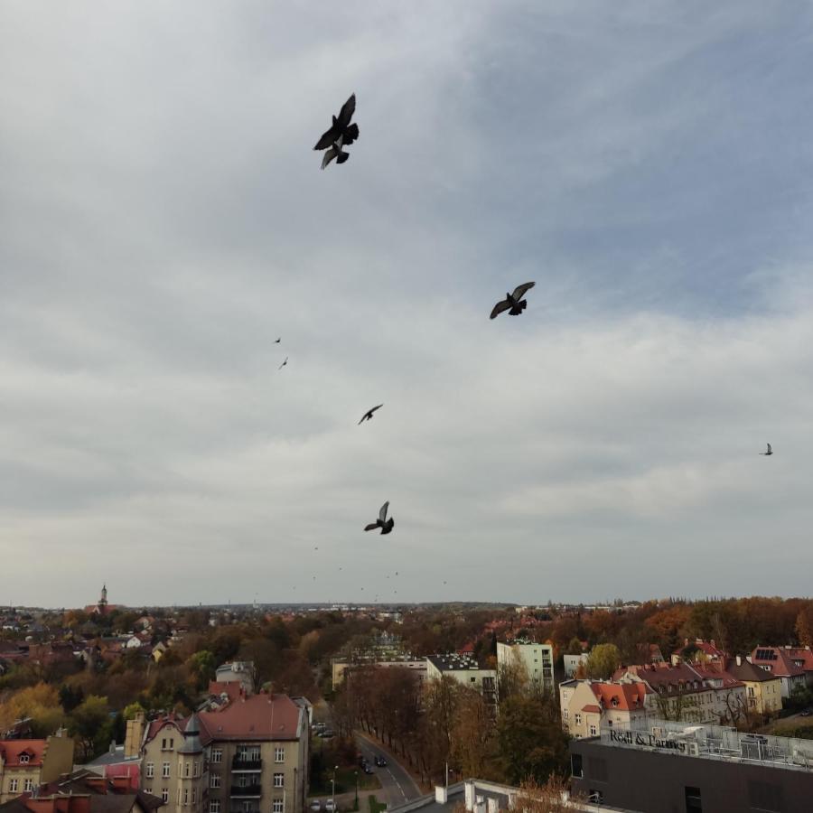 Apartament Z Widokiem Na Miasto Gliwice Exteriör bild